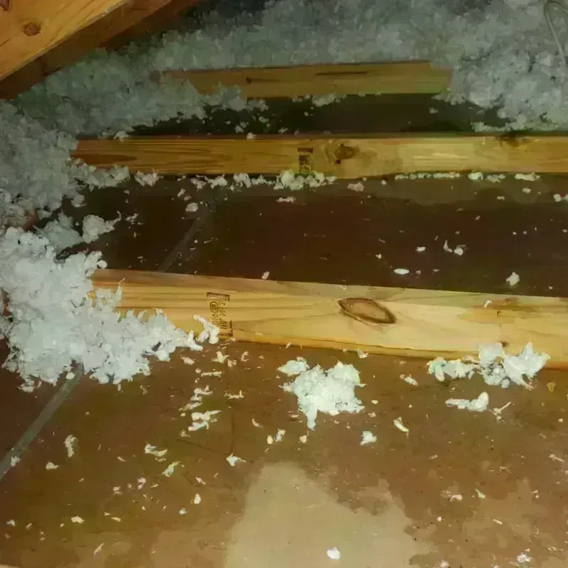 Attic Water Damage in Simpson County, KY